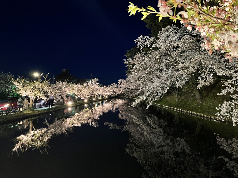 Hirosaki Castle Park Cherry Blossom Reflection Night Time